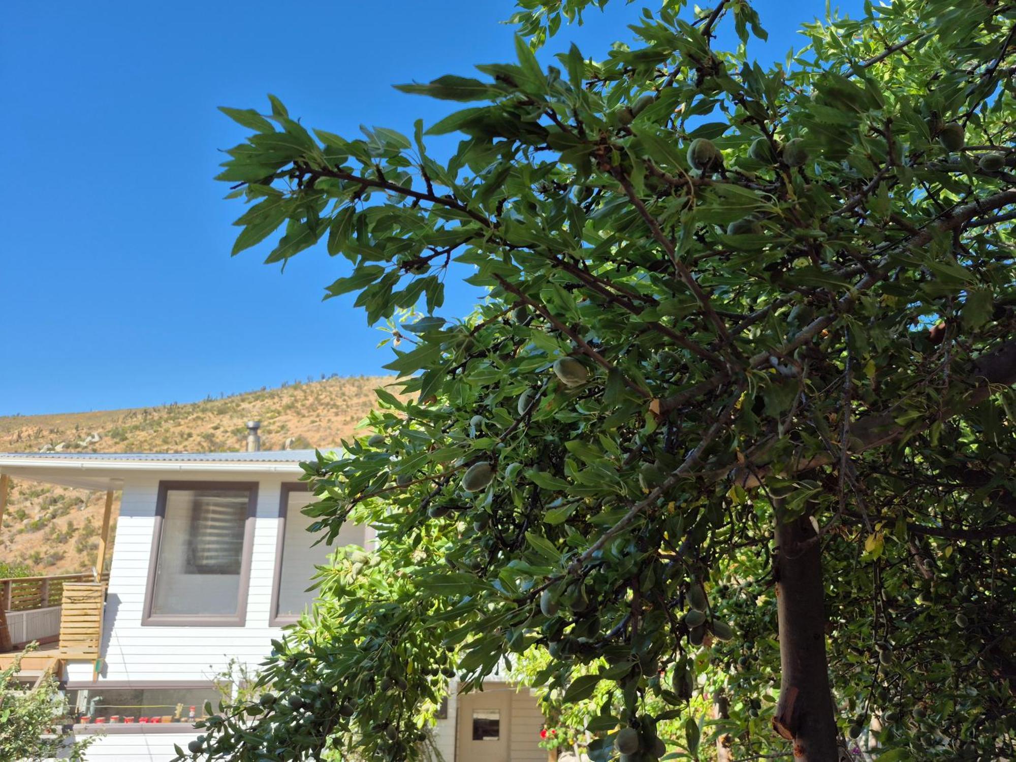 Hostal Los Almendros Canela Baja Exterior photo